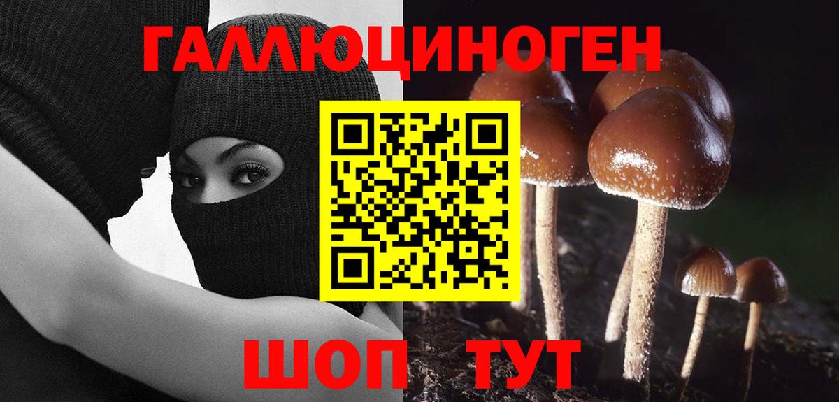 сколько стоит  Галлюциногенные грибы Cubensis  Вход с VPN  Галлюциногенные грибы мицелий  Каменск-Шахтинский 