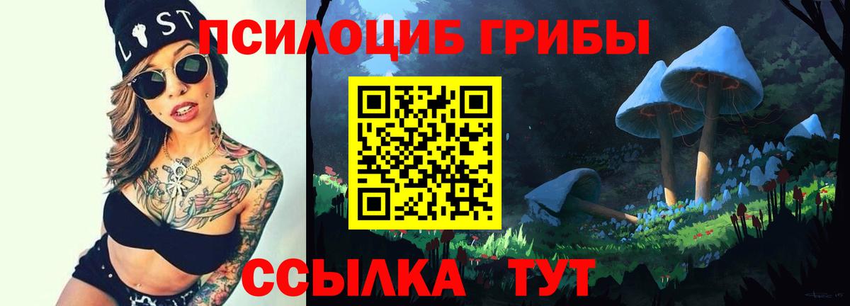 Галлюциногенные грибы Psilocybine cubensis Каменск-Шахтинский